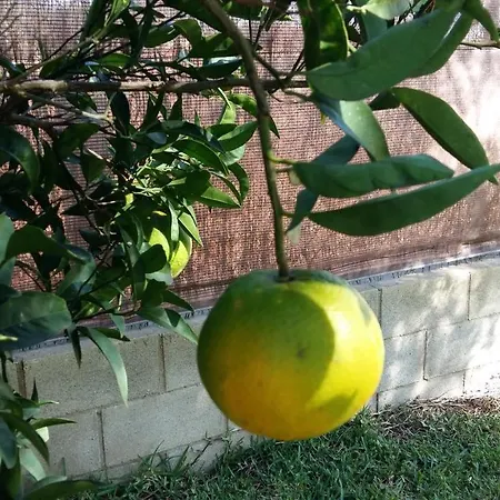 Casa de Férias Casa Con Jardín Privado Cerca De La Playa, Descansar Y Relajarse